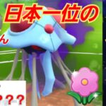 【無敵】本当は紹介したくない天才型ドククラゲが不利対面なしで最強？！世界のトップ層はもう2600超えてるのさすがに異次元すぎるwww【GBL】【春カップ】