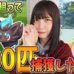 フラべべの色違い狙って800匹捕獲した結果…やばすぎたw【ポケモンGO】