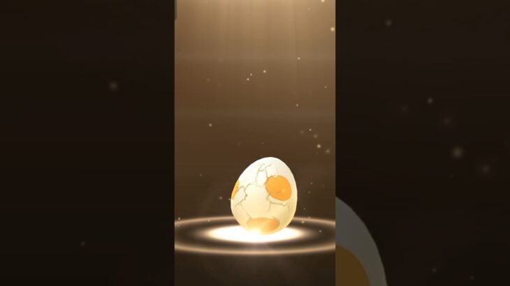 🤩✨Egg hatching! ….in Pokemon go #shundo #rareshiny #pokemon #newshiny #shinypokemon #shiny