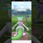 ポケモンGO マスターリーグ ルカリオ、翡翠クレベース、ミュウツー