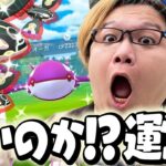 色違い爆湧きカイオーガ!!!ゲンシレイドの確率アップがエグい件!!【ポケモンGO】