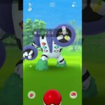 【ポケモンGO】野生のレジギガスが現れた!!しかも色違い