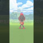 【ポケモンGO】野生のカルボウが現れた!!