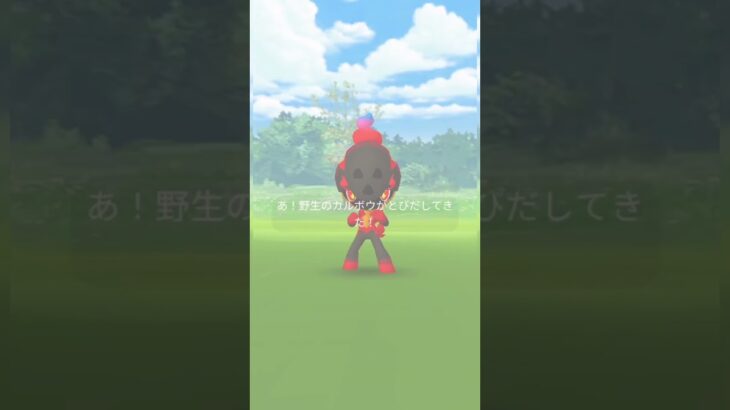 【ポケモンGO】野生のカルボウが現れた!!