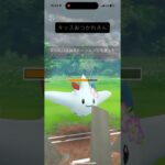 今話題のカイオーガ甘甘改造版！【マスターリーグ】【ポケモンGO】