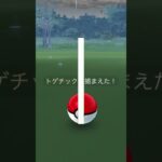 【色違い】トゲチック【ポケモンGO】