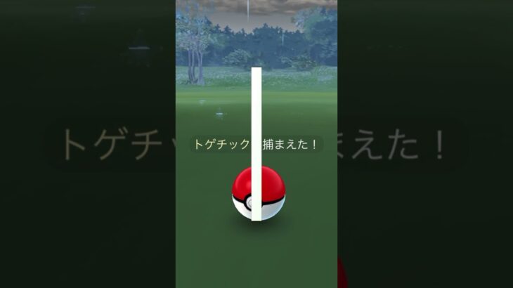 【色違い】トゲチック【ポケモンGO】