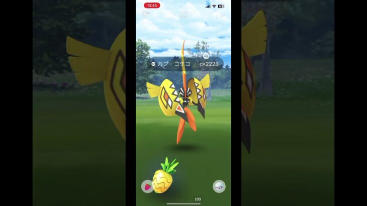 ポケモンGO、カプコケコレイド