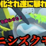 【ポケモンGO】強化され遂にオニシズクモが暴れる！？【スーパーリーグ】