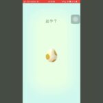 ポケモンGO 5kmたまご何でるかな？ #ポケgo #ポケモン #ポケモンgo #pokemon #ポケゴー #pokemongo #shorts #short