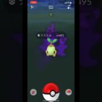 ポケモンGOでシャドウナエトルのゲットチャレンジ！