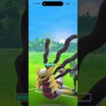 パーティー勝ちすぎて申し訳なくなった試合【マスターリーグ】【ポケモンGO】