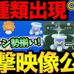 〇〇ポケ活が最強！？こんな映像見たことない！全ポワルンが一斉出現！タブンネ巣のお得情報！調べ方と注意点も！【 ポケモンGO 】【 GOバトルリーグ 】【 GBL 】【 ハイパーリーグ 】