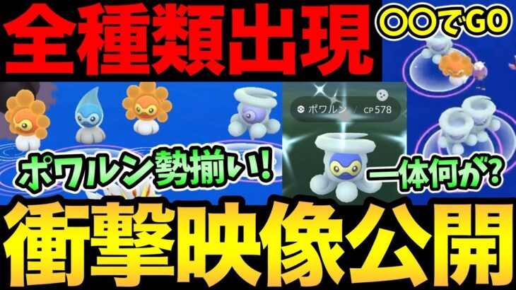 〇〇ポケ活が最強！？こんな映像見たことない！全ポワルンが一斉出現！タブンネ巣のお得情報！調べ方と注意点も！【 ポケモンGO 】【 GOバトルリーグ 】【 GBL 】【 ハイパーリーグ 】