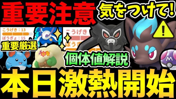 今日から大忙し！絶対間違えないで！毎回被害者続出…！ザルード個体値解説！妥協できるラインは？激アツ色違いや重要厳選も【 ポケモンGO 】【 GOバトルリーグ 】【 GBL 】【 マスターリーグ 】