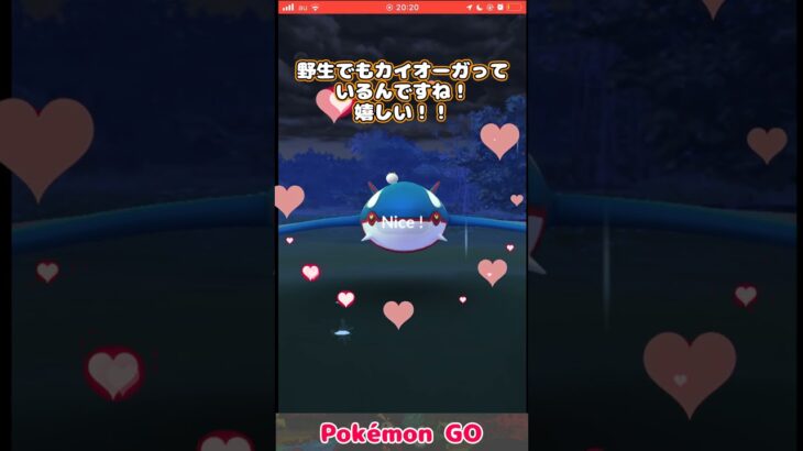 【ポケモンGO】 #カイオーガ #ゾロア #ポケモンGO #shorts #pokemongo