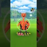 【ポケモンGO】ガラルサンダーだと思ったら、、、#ポケモン #ポケモンgo #ゾロア #shorts