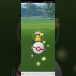 [ポケモンGO]キャップピカチュウ　個体値100%