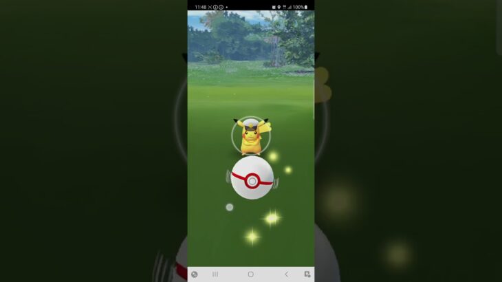 [ポケモンGO]キャップピカチュウ　個体値100%