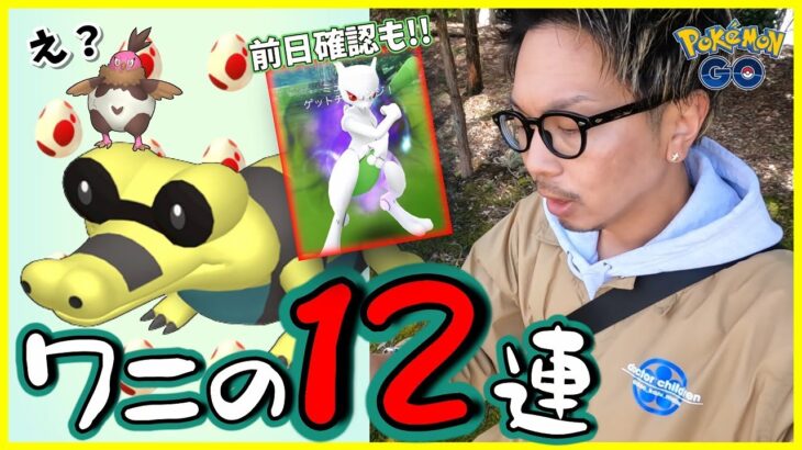 【ポケモンGO】色違い確変！？色違いメグロコを目指して12タマ12連クイック発動！2日間限定「復刻シャドウミュウツー」の注意点を含む前日確認スペシャル！【GOロケット団占拠】