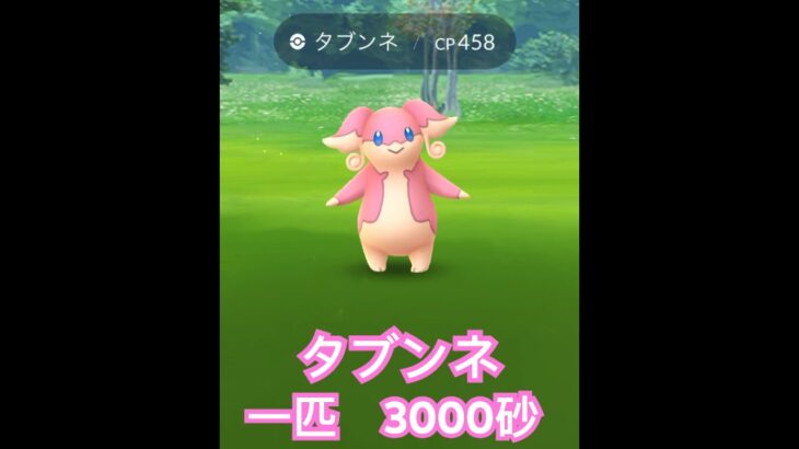 タブンネの巣に突撃してきた【ポケモンGO】一匹で3000砂GET