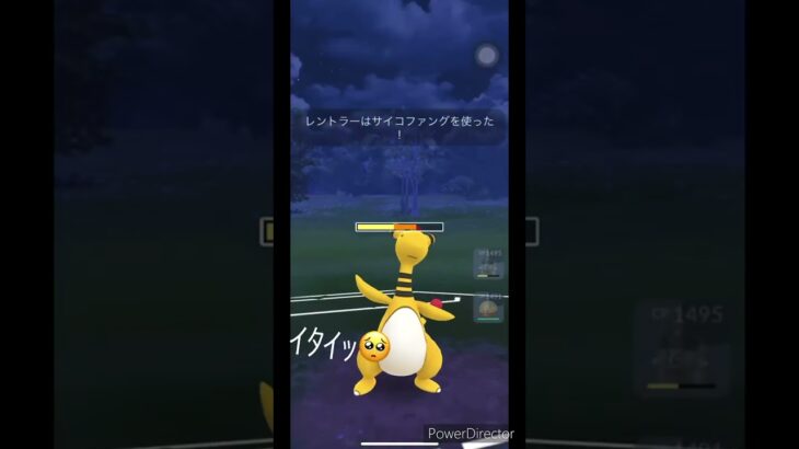 【ポケモンGO】夫婦で目指すポケモンマスターへの道　＃ポケモン　＃GBL ＃ 猫ミーム