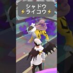 【ポケモンGO】シャドウライコウが現れた!!【⚡️Shadow Raikou Pokémon GO⚡️】