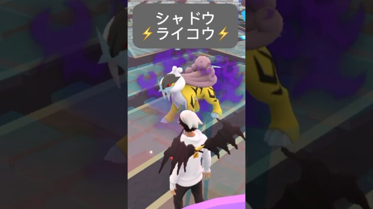 【ポケモンGO】シャドウライコウが現れた!!【⚡️Shadow Raikou Pokémon GO⚡️】