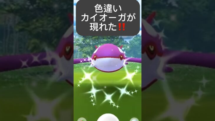 【ポケモンGO】色違いカイオーガが現れた!!【✨Shiny Kyogre Pokémon GO✨】