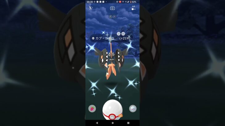 【ポケモンGO】色違いカプ・コケコgetチャレンジ。