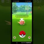 ポケモンGO実況お散歩中に偶然コイキングを発見！コイキングを捕獲してみた!果たして結果は！#ポケモンgo #ポケモン #shorts