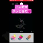 黒レックと相棒MAX、ガンバリボン🎀【ポケモンGO】#shorts #ゲーム実況 #ショート