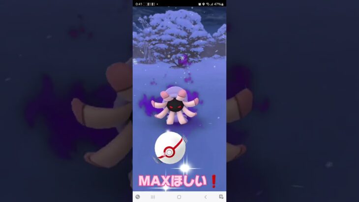 【PokemonGo】シャドウポケモン⭐色違いorMAX狙い🙏⭐ポケモンGO⭐１体くらい当たりがいるか❓️❓️