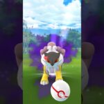 シャドウ　ライコウgetだぜ!#ポケモンGO