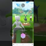 #ポケモンgo  マスターリーグ ミュウツー、メタグロス、オリーヴァ