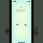 ポケモンgo 10キロタマゴガチャ2連　#pokemongo