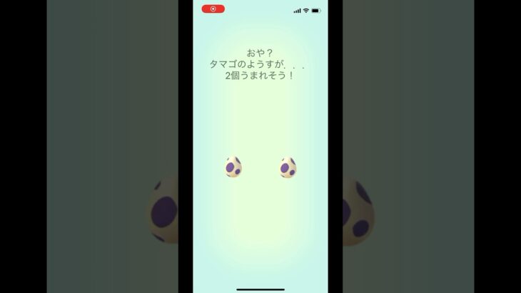 ポケモンgo 10キロタマゴガチャ2連　#pokemongo