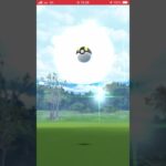 【色違い】キャップ！【初日！】#ポケモンgo