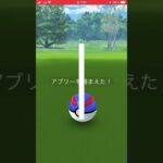 【アブリー】色違い【少し前の】#ポケモンgo