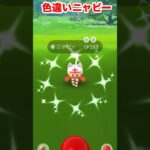 【ポケモンgo】色違いニャビー大量発生中！この機会に色違い捕まえよう✌️ #ポケモンgo #ポケモン　#色違いニャビー　#色違いガオガエン　#パチストラッシュ