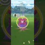 ねこたちがポケモンgoをはじめてから1か月目#猫ミーム #ポケモンgo