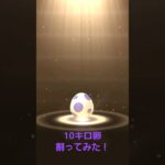 10キロ卵2つ割ってみた！#ポケモンgo #10キロ卵 #地域限定