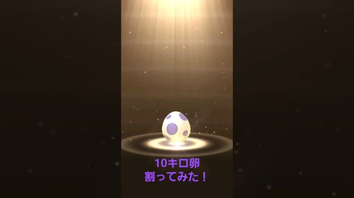 10キロ卵2つ割ってみた！#ポケモンgo #10キロ卵 #地域限定