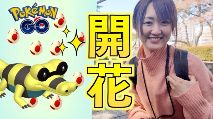 12タマ12連で色違いメグロコを!!【ポケモンGO】