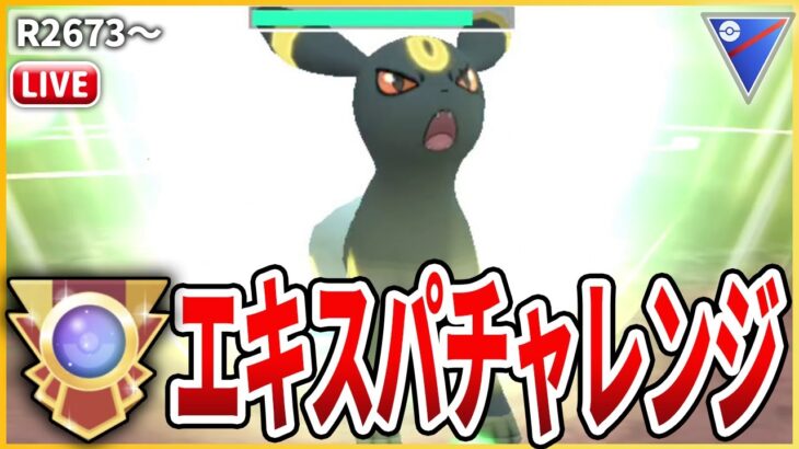 【スーパーリーグ】今日から50戦潜れるぞ！！評価急上昇中の「ブラッキー」でエキスパチャレンジ！