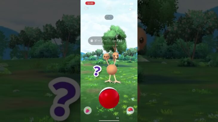 Bug??【ポケモンGO】#shorts