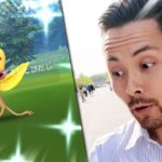 うああああああ！！！その個体値は…そうくるかあああ！！マダツボミさんんんん！！！笑【ポケモンGO】