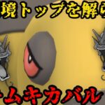 【ポケモンGO】ムキムキカバルドンがタイプ相性を覆し環境トップを解らせるっ！【マスタープレミア】