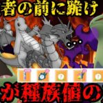 【ポケモンGO】シャドウバンギラスが環境を解らせ爆勝ち！！【マスタープレミア】