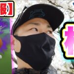 速報！お花見しながらシャドウエンテイを攻略！【ポケモンGO】